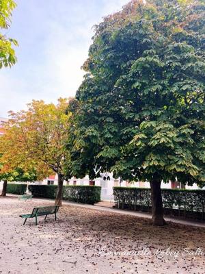 Appartement - 78 m² - 3 pièces