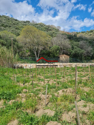 Terrain agricole - 3 982 m²