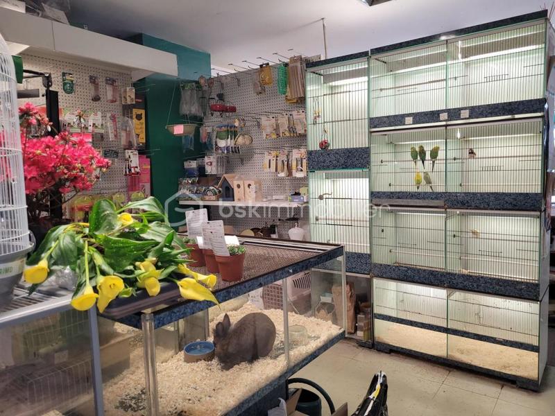 Local commercial - 359 m² - 6 pièces