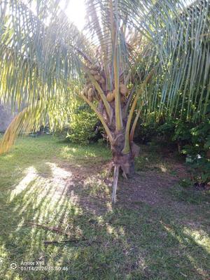 Maison - 206 m² - 4 pièces