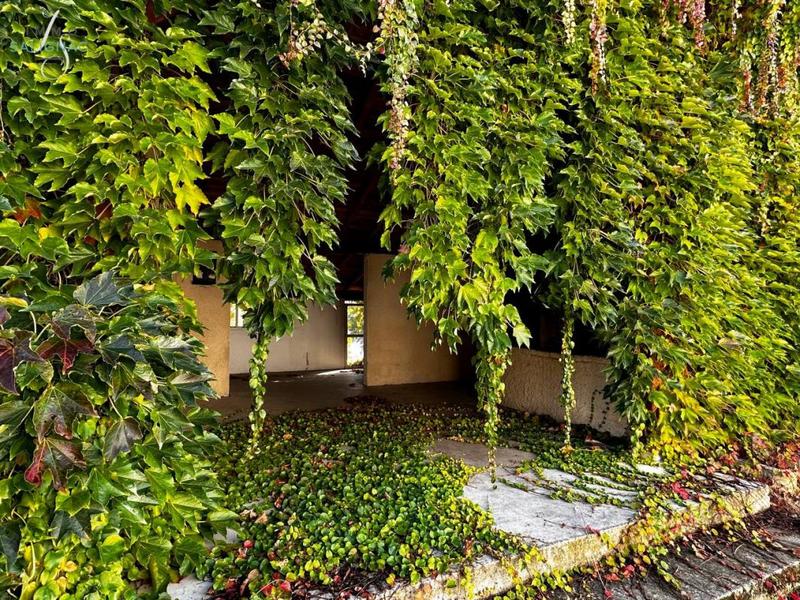 Local commercial - 234 m²