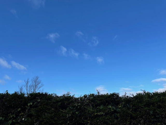 Maison - 131 m² - 5 pièces