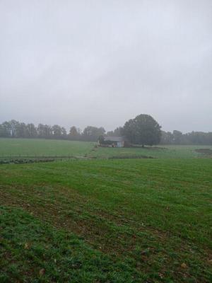 Maison - 1 800 m² - 1 pièce