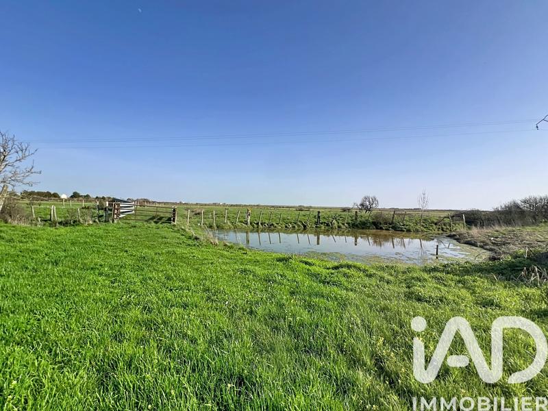 Maison - 230 m² - 6 pièces