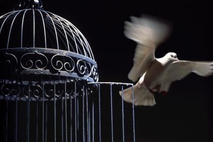 Elsa Prohom - Cabinet Terra Humana