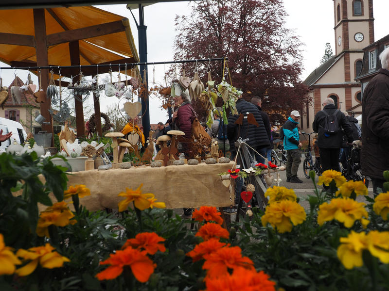 Fête de l'écotourisme