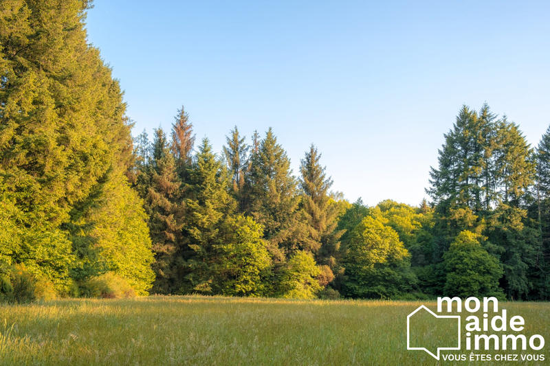 Maison - 340 m² - 15 pièces