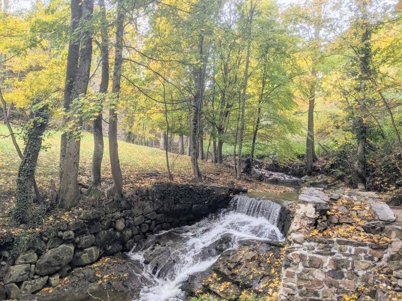 Propriété - 374 m² - 9 pièces