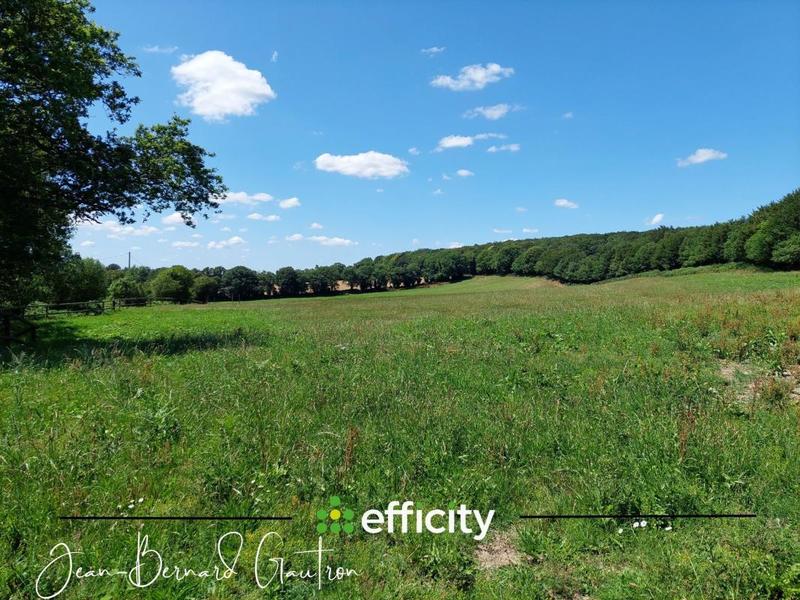 Maison - 156 m² - 6 pièces