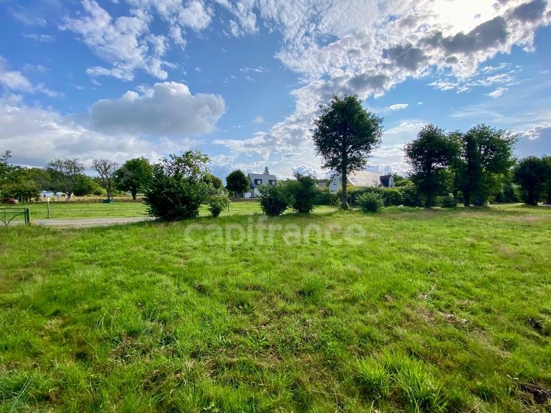 Terrain - 589 m²