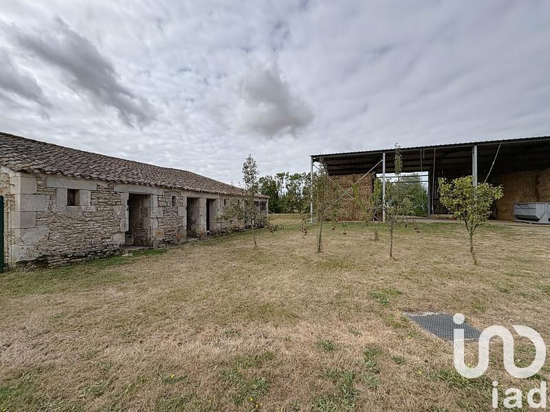 Ferme - 148 m² - 5 pièces