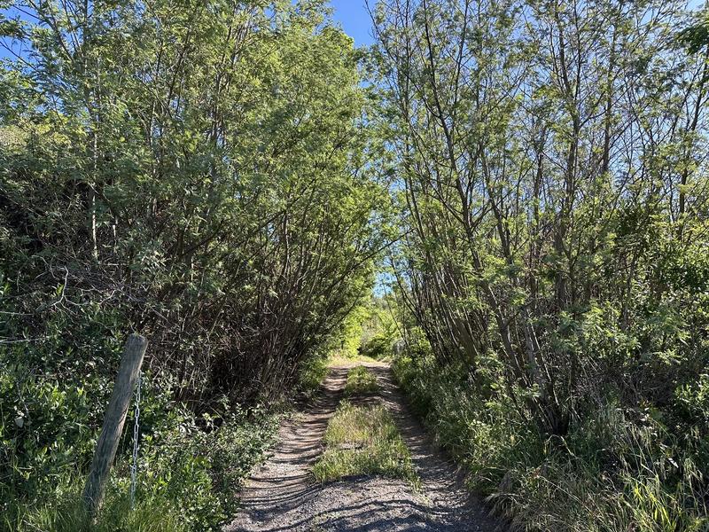 Terrain constructible - 3 070 m²