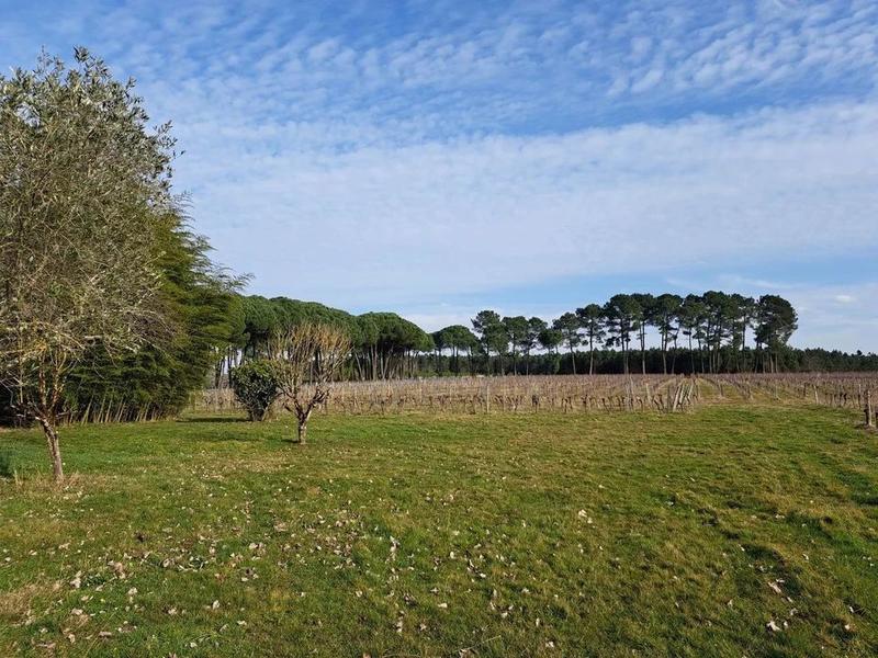 Maison traditionnelle - 170 m² - 6 pièces