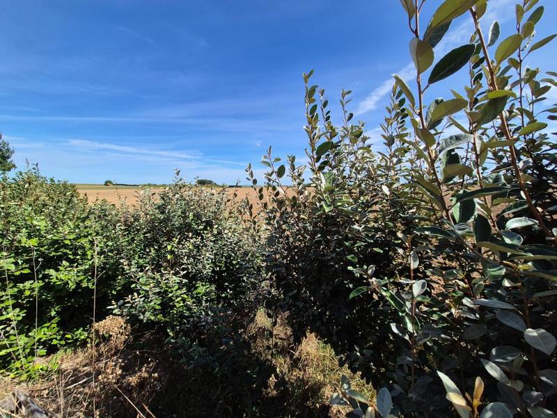 Maison - 190 m² - 6 pièces