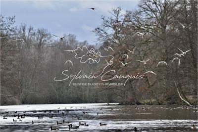 Propriété - 800 m² - 25 pièces