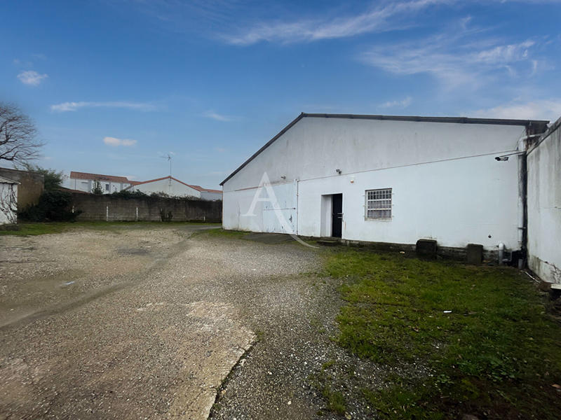 Local d'activité / Entrepôt - 250 m²