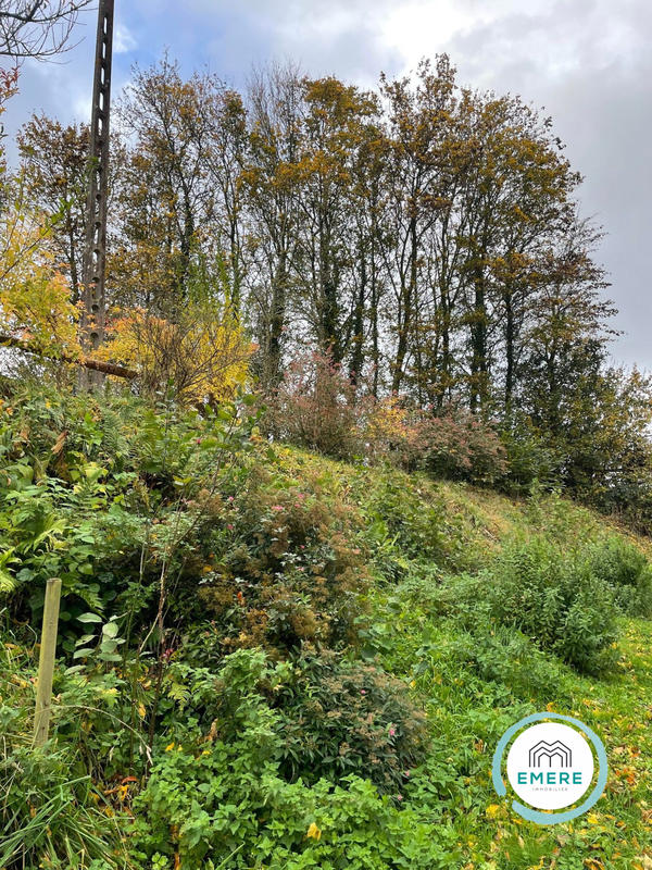 Maison ancienne - 166 m² - 8 pièces