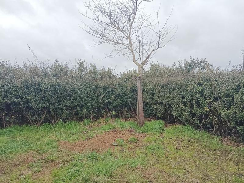 Pavillon - 80 m² - 4 pièces