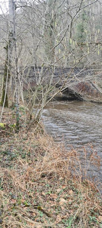 Terrain - 14 915 m²