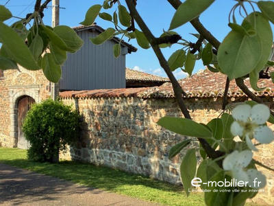 Maison ancienne - 250 m² - 6 pièces