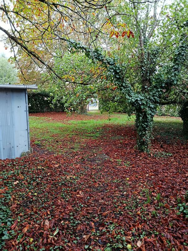 Maison ancienne - 258 m² - 6 pièces