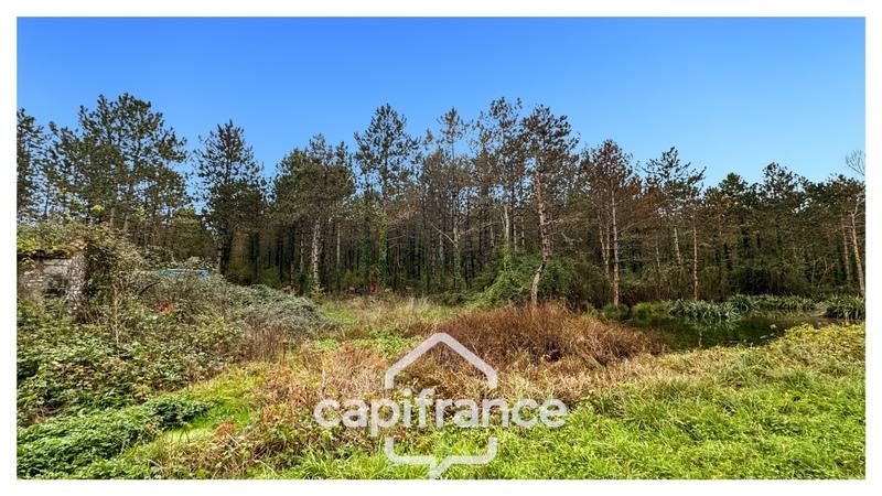 Maison - 30 m² - 1 pièce