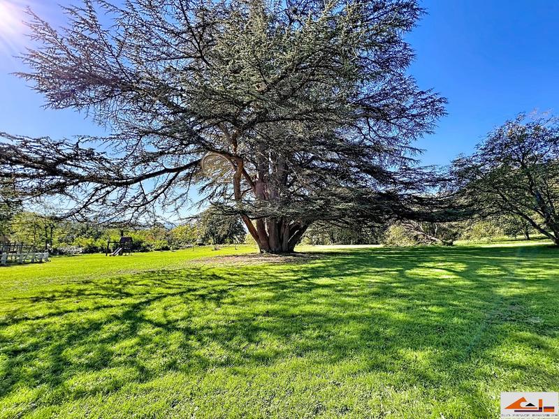 Château - 840 m² - 20 pièces