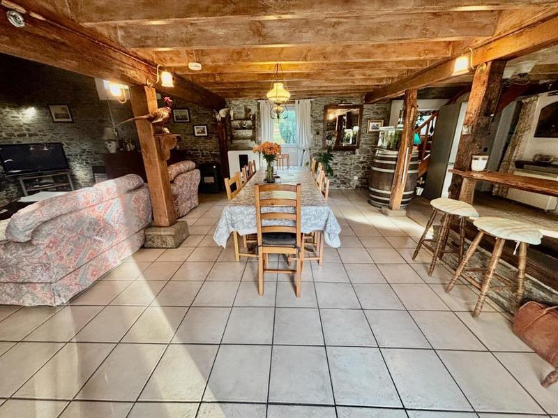 Maison en pierre - 317 m² - 15 pièces