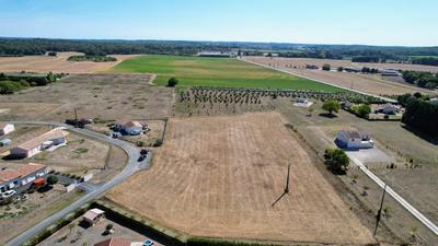 Terrain - 10 068 m²