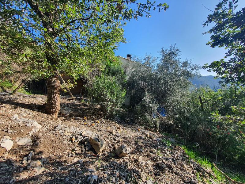 Terrain de loisirs - 6 839 m²