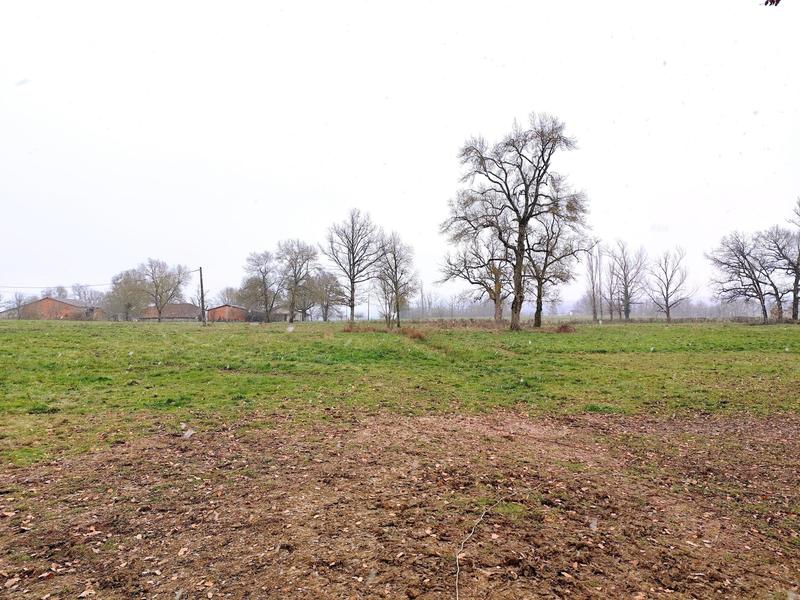 Terrain agricole - 36 700 m²