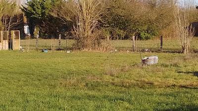 Terrain constructible - 1 291 m²