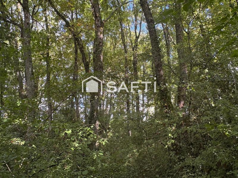 Propriété - 200 m² - 5 pièces