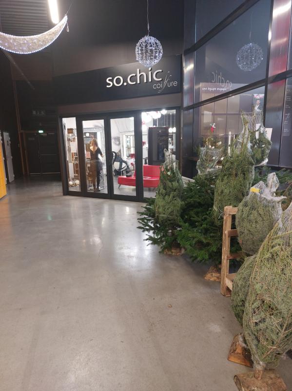 Bureau - 50 m² - 1 pièce