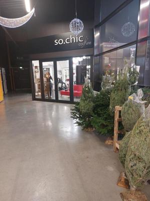 Bureau - 50 m² - 1 pièce