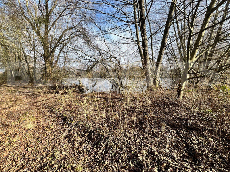 Terrain - 11 640 m²