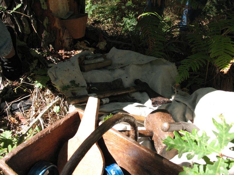 Dans le pin tout est bon : découverte du gemmage