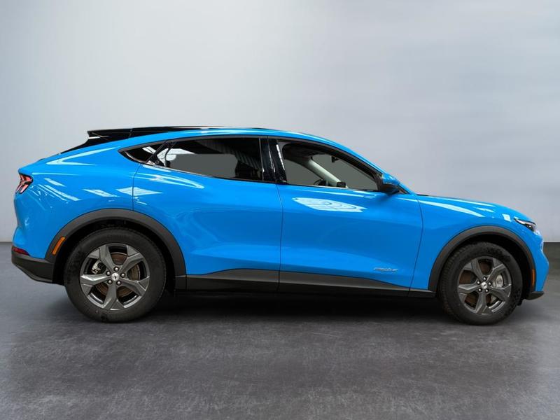 Ford Mustang Mach-E Standard Range 76 kWh 269 ch