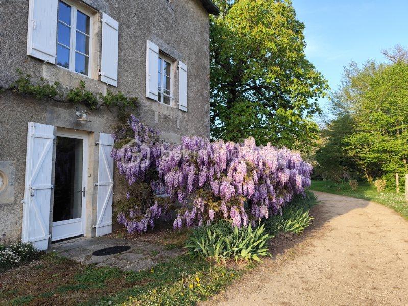 Corps de ferme - 297 m² - 9 pièces