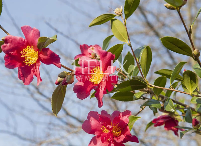 Appartement - 88 m² - 4 pièces