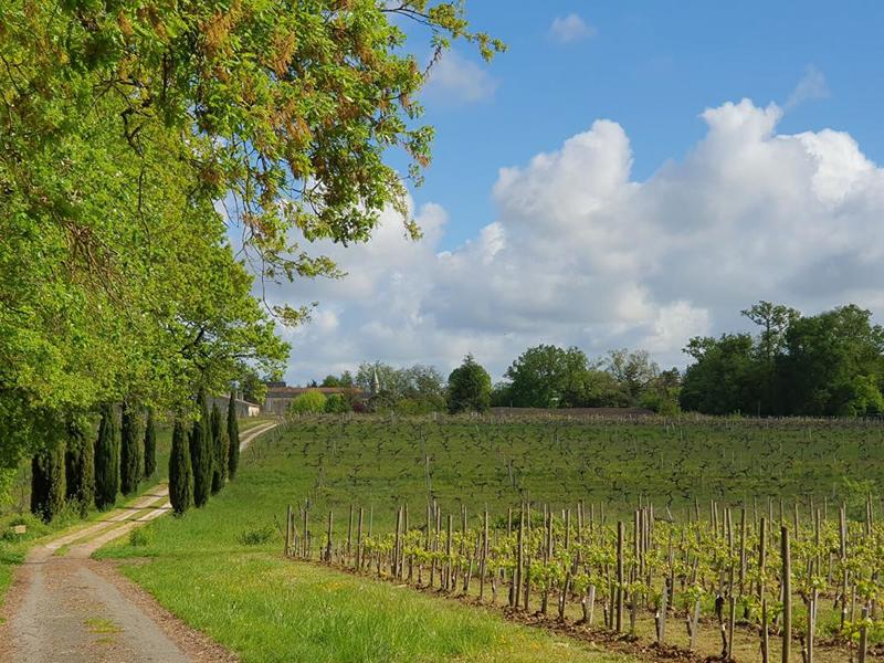 Immeuble - 2 620 m²