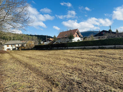 Terrain - 1 000 m²