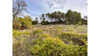Terrain - 470 m²