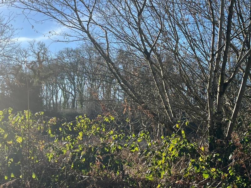 Terrain constructible - 6 028 m²