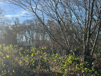 Terrain constructible - 6 028 m²