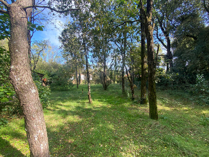 Maison - 104 m² - 4 pièces