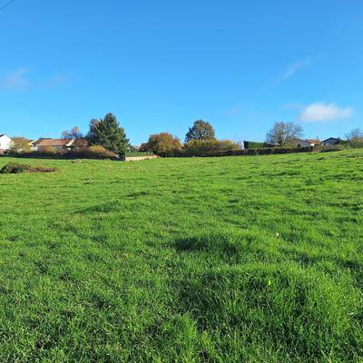 Terrain - 12 975 m²