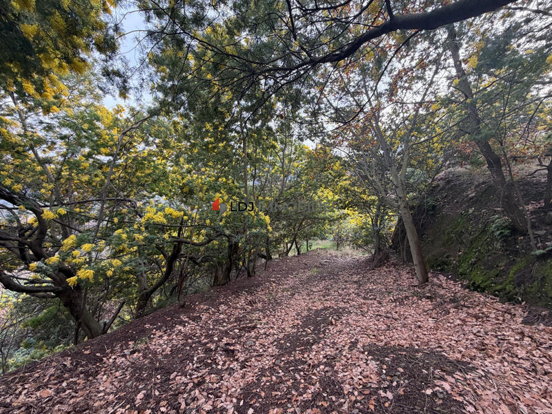 Terrain agricole - 6 500 m²