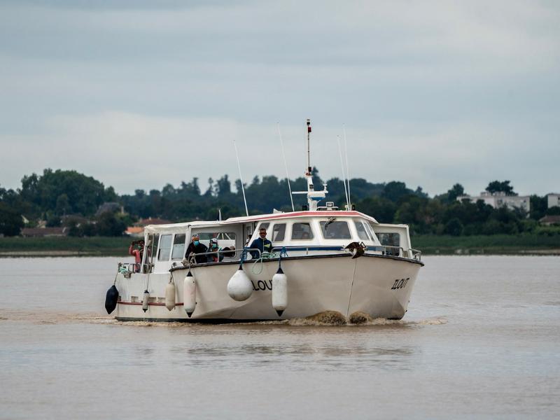 Croisière du dimanche sur l'estuaire à Terres d'Oiseaux