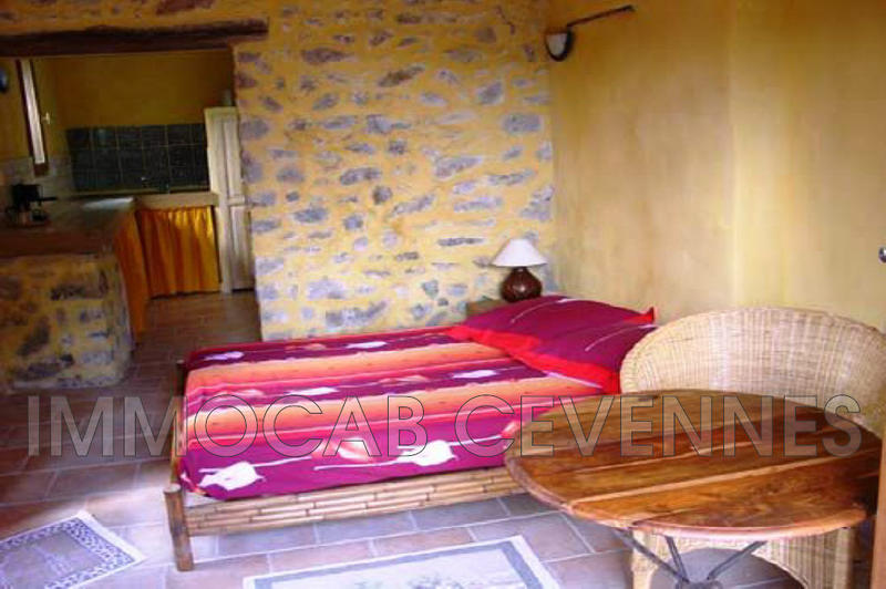 Mas - 500 m² - 20 pièces